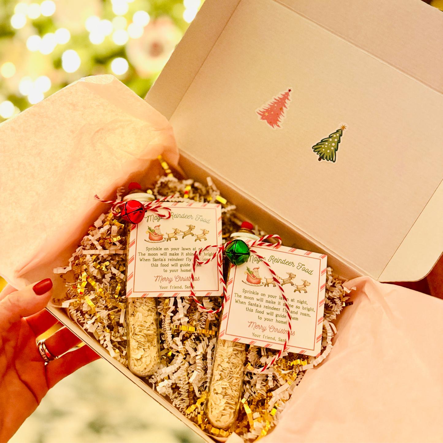 Magic Reindeer Food Tube with Christmas Gift Tag