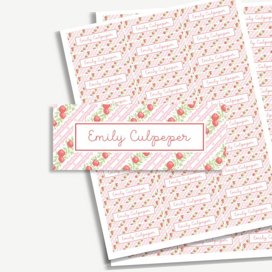 Personalized School Name Labels - Water Resistant - Set of 60 - Red Apples
