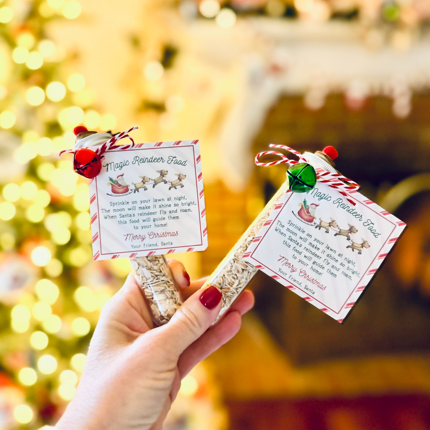 Magic Reindeer Food Tube with Christmas Gift Tag