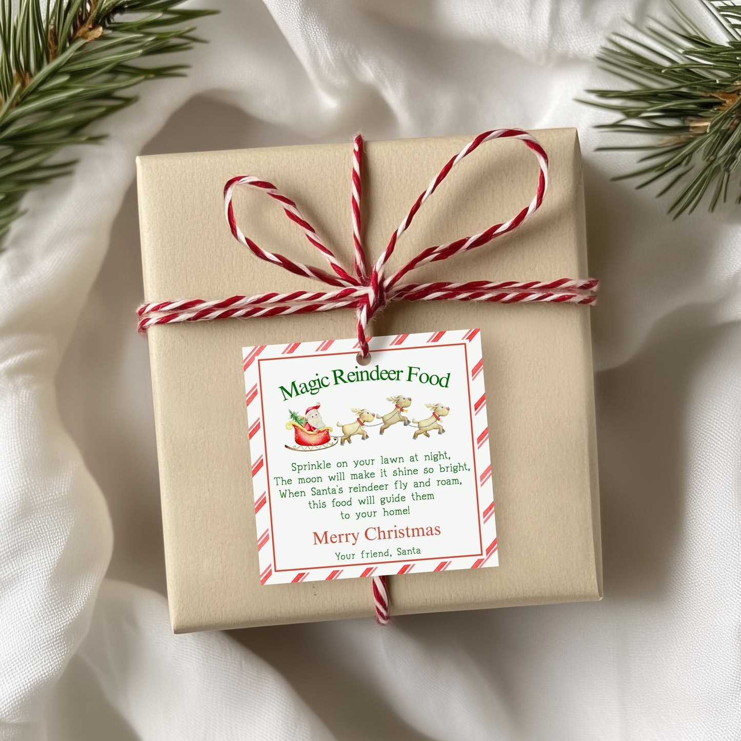 Magic Reindeer Food Tag Editable