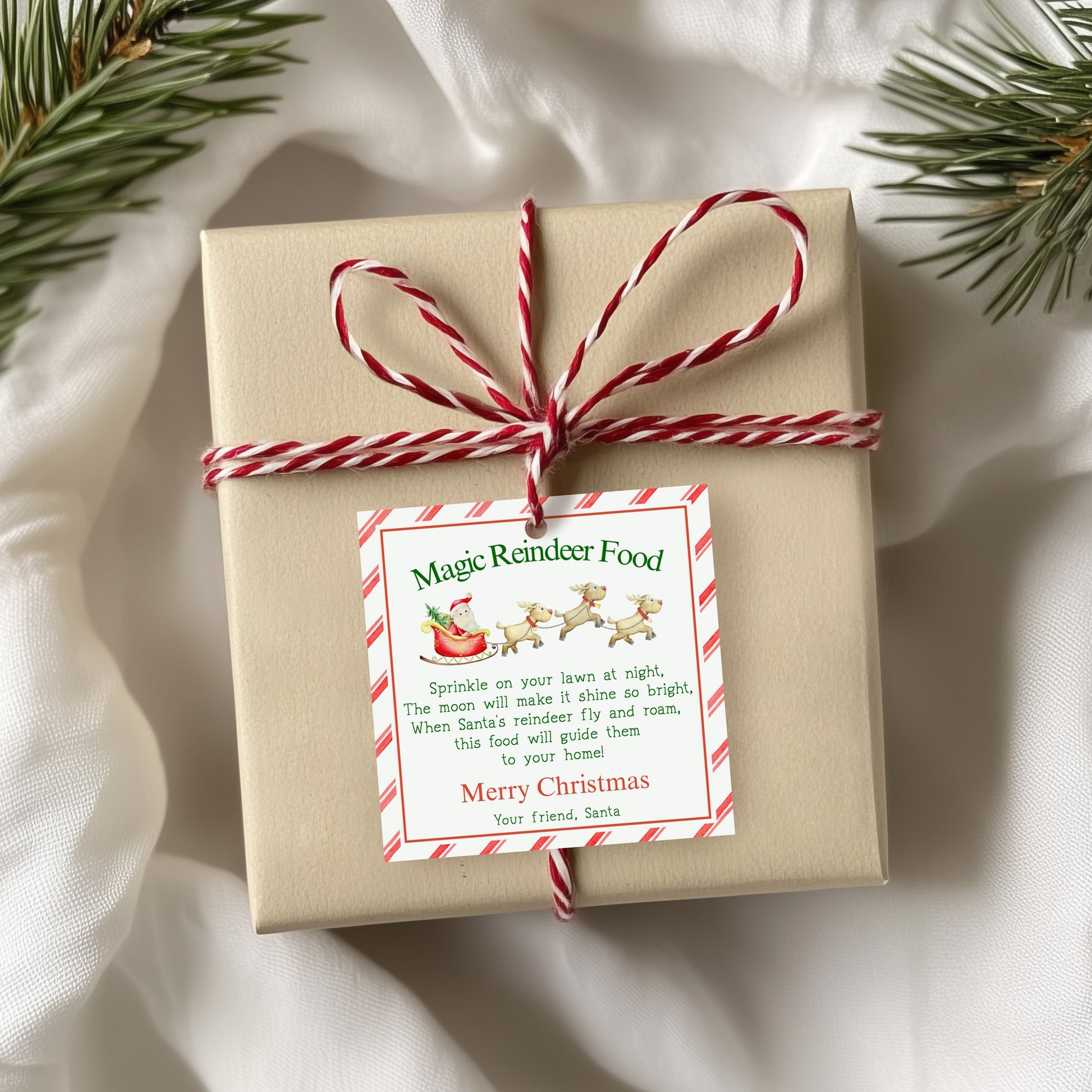 Magic Reindeer Food Tag Editable